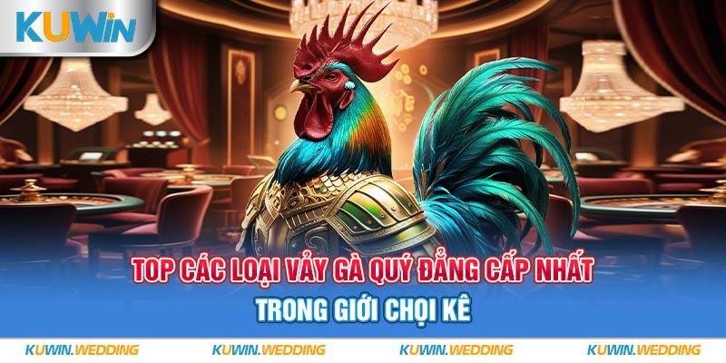 Top Các Loại Vảy Gà Quý Đẳng Cấp Nhất Trong Giới Chọi Kê