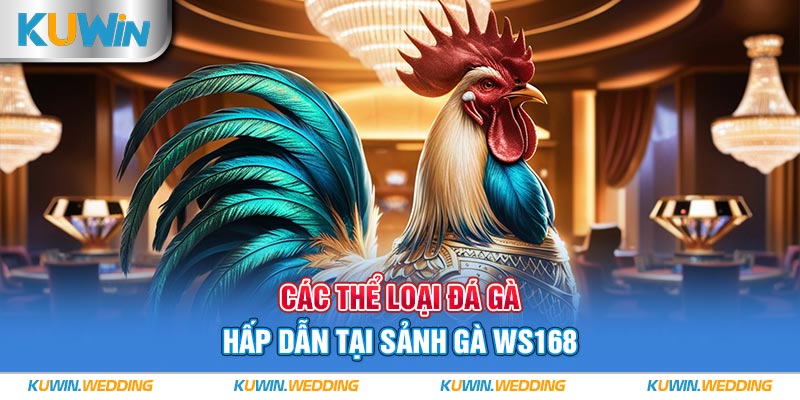 Các thể loại chọi gà hấp dẫn tại sảnh WS168