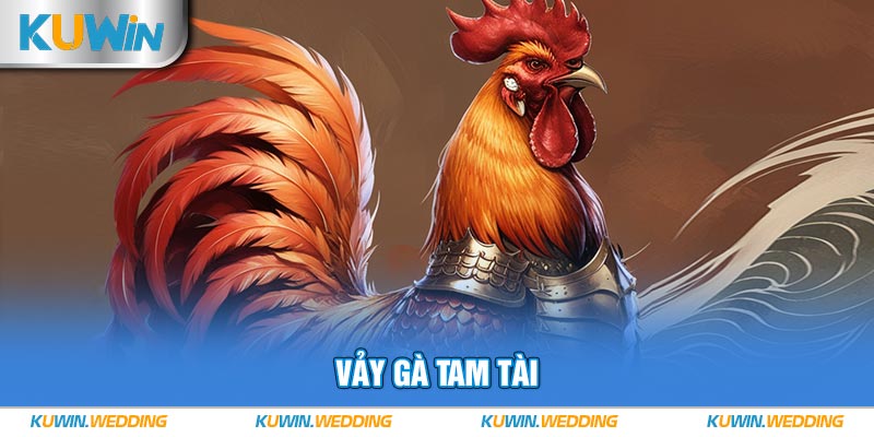 Vảy gà Tam Tài